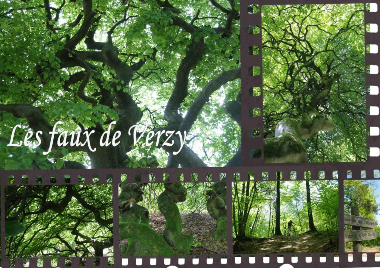 Bedinreims "Burgundy Bottle" 110M2 Exceptional, 4 Chambres Doubles, 2 Bain, Free Park & Wifi, Tout Equipe Zewnętrze zdjęcie